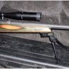 .50 BMG with optics