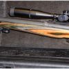 .50 BMG with optics...