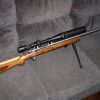 Savage in .204 Ruger