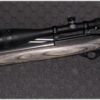 Ruger TNZ