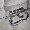 My Ruger 10/22 "Assault Rifle"