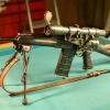 Saiga30811.JPG