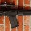 strippedsaiga1212.JPG
