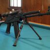 Saiga223.jpg