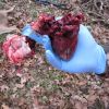 heartshot.jpg