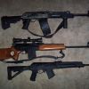 Saiga Family Photo