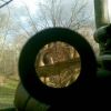 Squirrel through scope... 