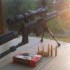 Saiga 308