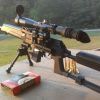 Saiga 308