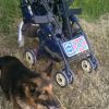 Tactical Stroller Tactical Stroller
