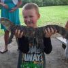 NathanielGator060612