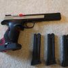 Sig Trailside with target setup