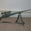 custom mosin project