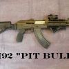 Pit Bull