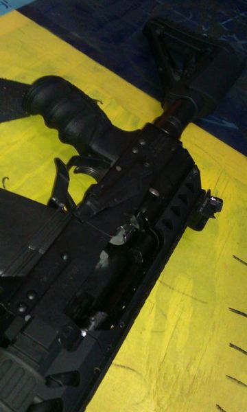 IMAG0137