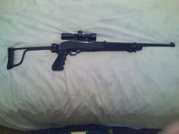 RUGER 10/22 BUTTLER CREEK STOCK AND SMALL 4X SCOPE