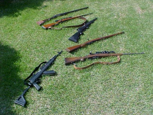 some of my guns