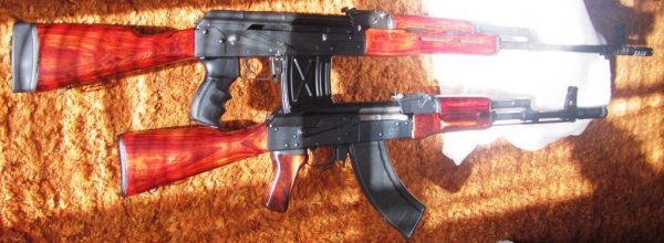 Saiga AK And PSL (colors by Cobra)
