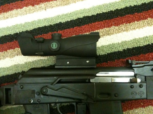 Just Installed Bushnell ACOG Style T Dot Sight