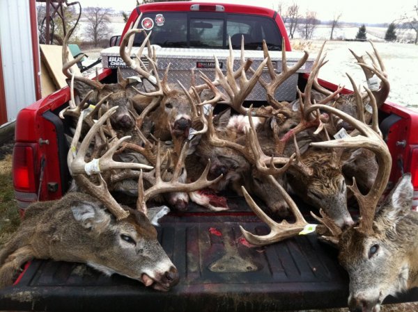 deer season  2011