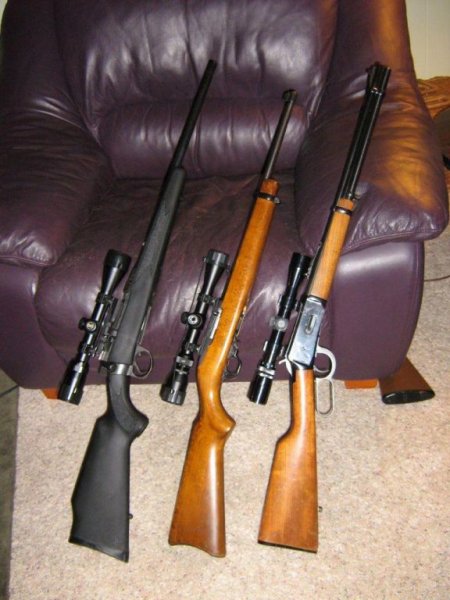 Some of my other guns