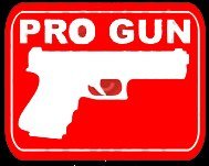 Pro Gun