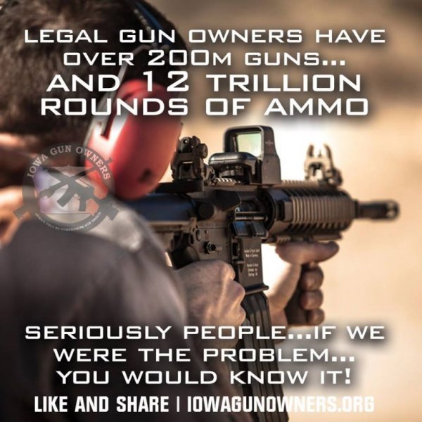 Gun owners