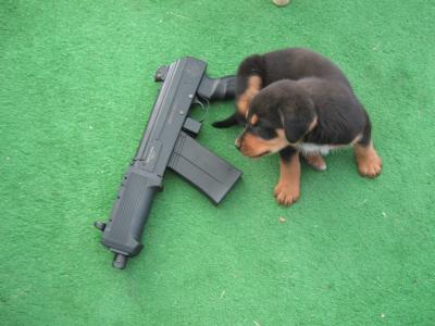 Widow Maker pics 018.jpg