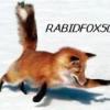RABIDFOX50
