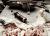 can tach a picitanny rail t... - last post by Lidocaine Looney
